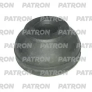 ������ ������������ Patron PSE2527 PSE2527 ����