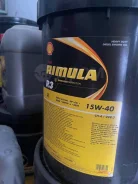 Shell Rimula