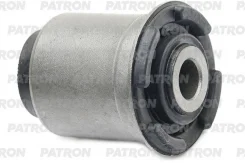 ����������� ������ �������� Patron PSE10660, �������� PSE10660 ����