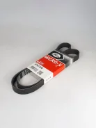 ������ ������������ Gates 6PK1255 6PK1255 ����