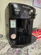 ����������. ����