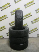 Formula Ice