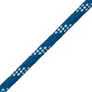 ���� ""GENOA"" 12�� �����" ����