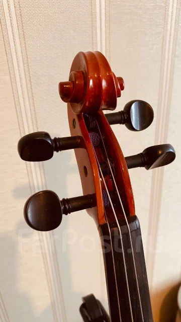 �������. ����