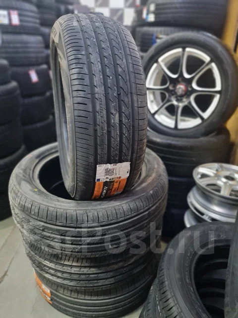 Pace Alventi. ������, 2024 ���, ����� ����