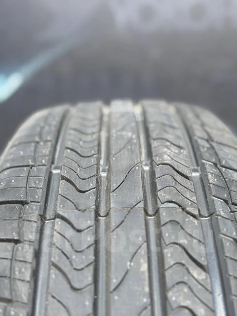 Nereus Dyntrac. ������, 2025 ���, ����� ����