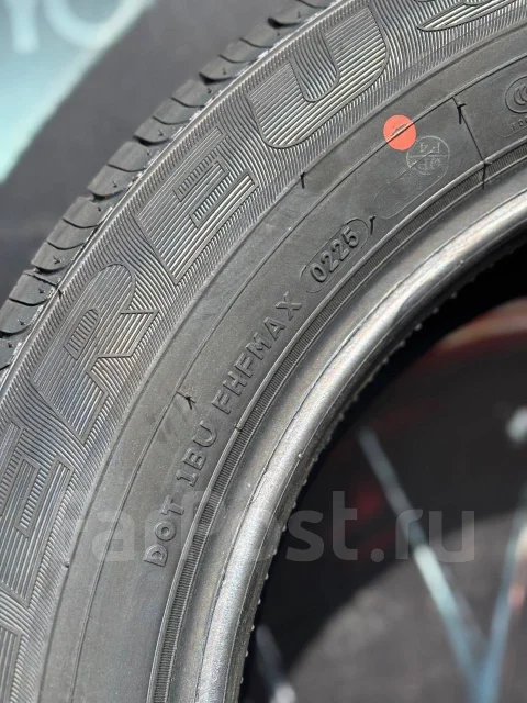 Nereus Dyntrac. ������, 2025 ���, ����� ����