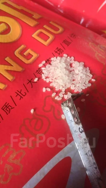 ���. ����