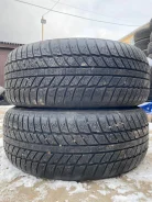 Jinyu YW51 Winterpro. ������, ��� �����, 2012 ���, �/�, ����� 45 % ����