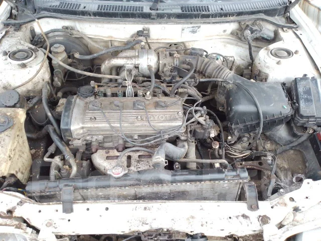 Toyota Corolla ����