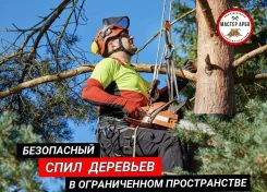 ����� ������� ���� ������� ������ ���������� ����������� ������� ����� ����