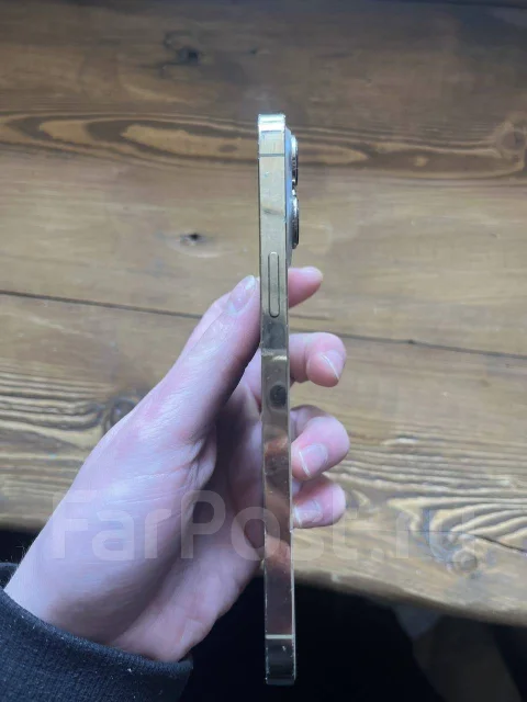 Apple iPhone 13 Pro Max. �/�, 128 ��, �������, 4G LTE ����