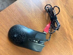 ���� ������������. ����