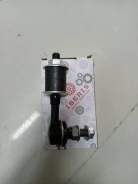 ���� ������������� ����/���. Iberis �������� � ���������� IB112146 ����