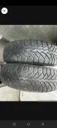 Tunga Nordway 2. ������, ����������, �/�, ����� 50 % ����