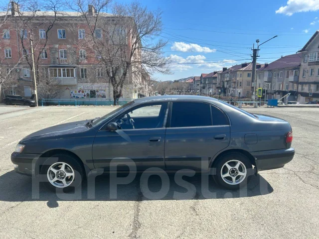 Toyota Corona ����