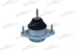 ����� ��������� Patron PSE3025, ����� PSE3025 ����