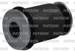 ����������� ������ �������� Patron PSE12046, �������� PSE12046 ����