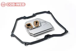 ������ ���� � ��������� ���������� ������� COB-WEB 113090 (SF309/073090) COB-WEB 113090 113090 ����