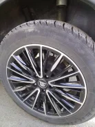 Federal Federally G-10. ������, ��� �����, 2024 ���, �/�, ����� 10 % ����