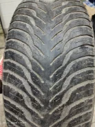Goodyear Eagle Ventura. ������, �/�, ����� 80 % ����