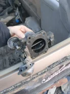 ����������� �������� 1610069295 ����