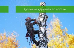 �����, ���� ��������, ������� ������ , ����� ������� ����� ��������� ����
