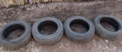 Dunlop SP 31. ������, 2010 ���, �/�, ����� 70 % ����