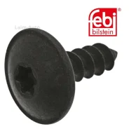 ���� ��������� (�������) /Torx T25 ������ 16 ��. / AUDI/VW/Skoda/SEAT 101887 ����