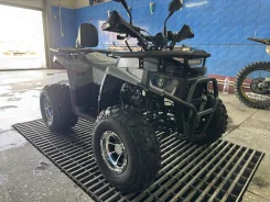 Grizzly. ��������, ��, ��� ������� ����