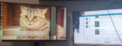 MSI. 27", ���������� �� (LCD, LED, QLED) ����
