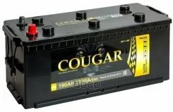 Cougar