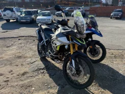 Triumph Tiger 900 Rally. 900����. ��., ��������, ���������, ��� ������� ����