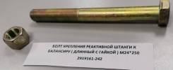         24250 FAW J6 2919161-242 