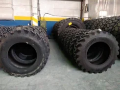 Michelin Power CL. �����������, 2025 ���, �����. �������� ������� ����