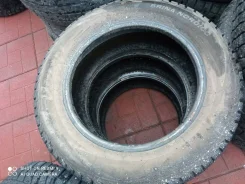 Viatti Brina Nordico. ������, ����������, 2022 ���, �/�, ����� 15 % ����