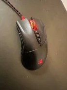 ���� �������. ����