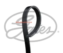 ������ ������������ XF 48359 Gates 4PK923 4PK923 ����
