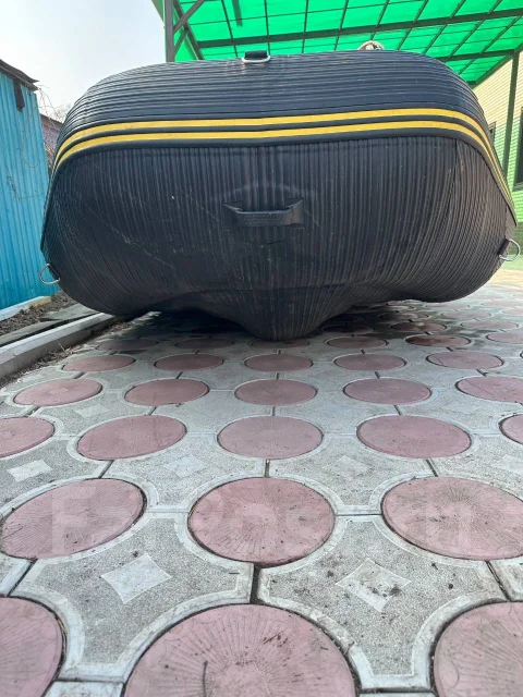 ������ ����� ����