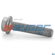 ���� ���������� �����! M14x1.5x70 10.9MB Actros/Axor Auger 77251 77251 ����
