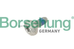 ���� �������� ������ ���������! M6x16 Audi, SEAT, Skoda, VW 07 Borsehung B10646 B10646 ����