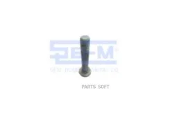 ���� ����������� ! M30x170 BPW SE-M 10262 10262 ����