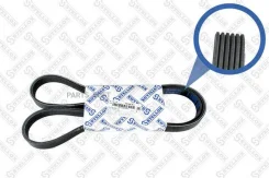 ������ ������������! 6PK1435 Ford Fiesta/Courier/Ka 95, Mazda 323 1.3 96 Stellox 0601435SX 0601435SX ����