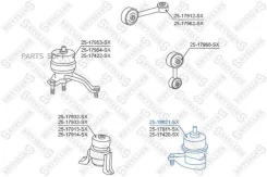 ����� ��������� ����� ! Toyota Camry 06 Stellox 2519021SX 2519021SX ����