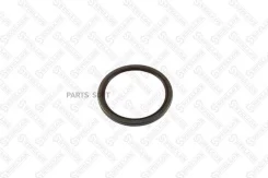 �������! ������� 132x160x10 MAN TGA/TGS/TGX Stellox 8101347SX 8101347SX ����
