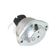 ��������, ��������� 20157 Ossca ���. 20157 20157 ����