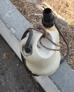 ������ ������������. ����