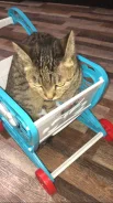 ������� �����, � ������ ��������� 13 ����