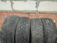 Tigar Prima. ������, 2012 ���, �/�, ����� 40 % ����
