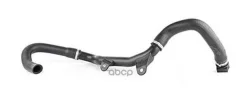�������� ������� ���������� Peugeot Boxer-3/Jumper-3 2.2 HDI 06- BSG AUTO Parts ���. bsg70-720-186 BSG70720186 ����